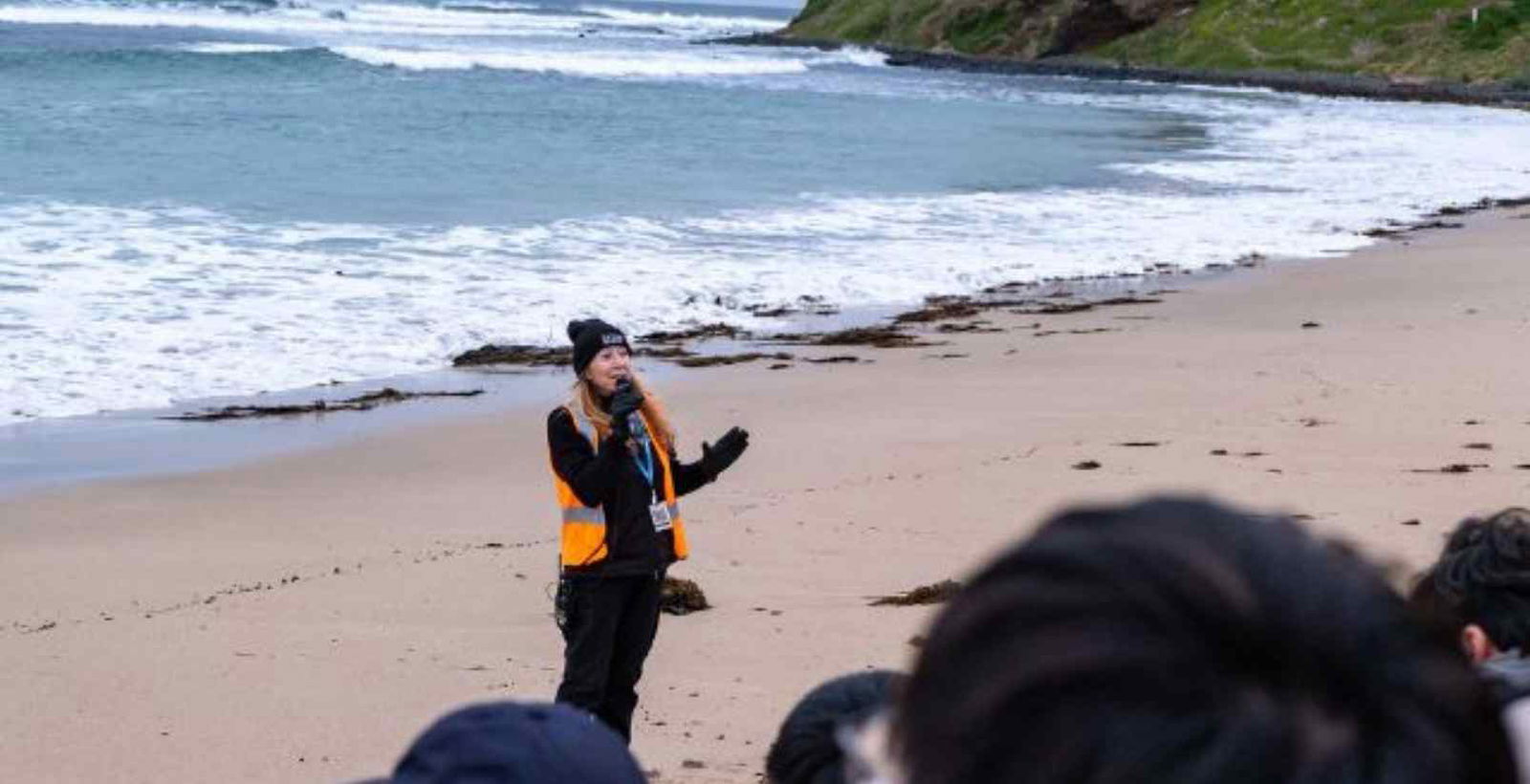 staff member talking at penguin parade