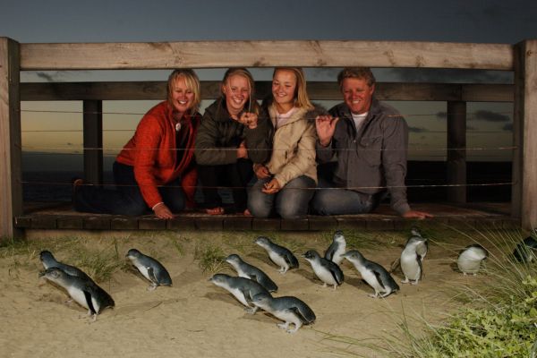 Penguin Parade on Phillip Island