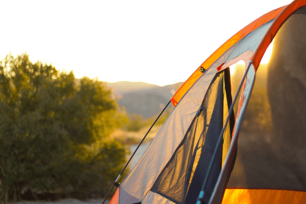 Camping on French Island