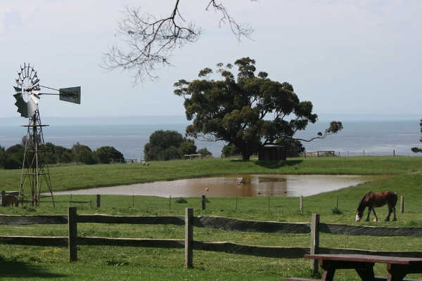 Churchill Island Heritage Farm