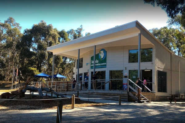Koala Reserve