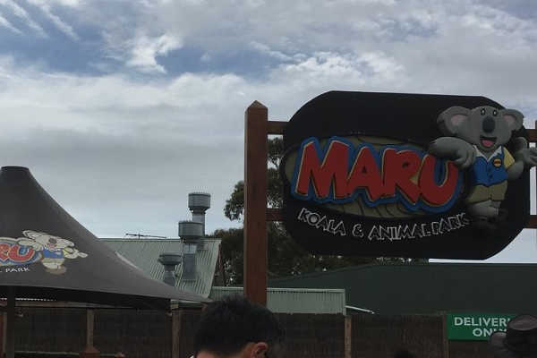 Maru Koala and Animal Park
