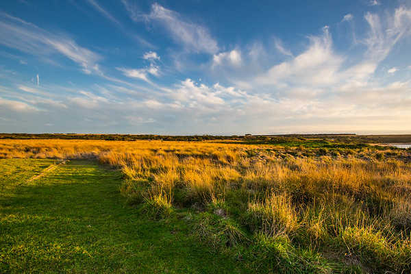 Phillip Island Landscape