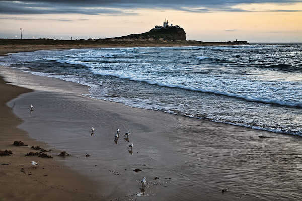 The Nobbies, Phillip Island