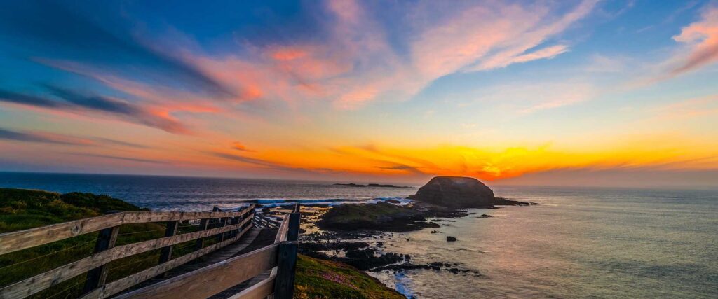 1 Day Phillip Island Deluxe Tour $145