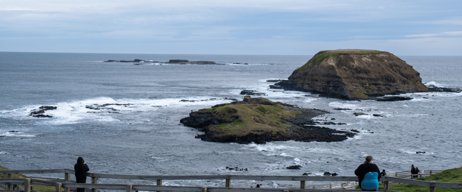 What is the Nobbies?